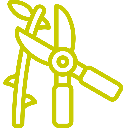 Entretien de jardins