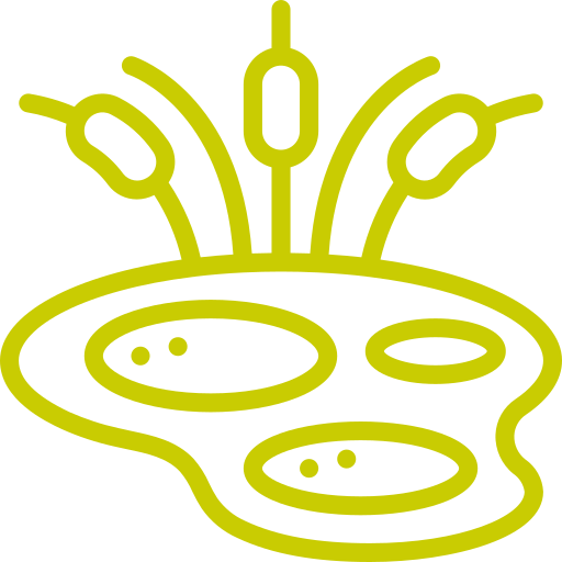 Pièce d'eau